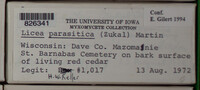 Image Associated With the Occurence